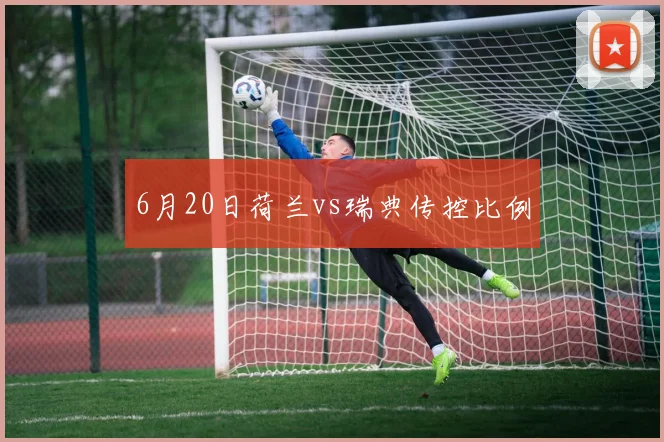 6月20日荷兰vs瑞典传控比例
