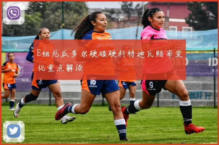 E组厄瓜多尔硬碰硬科特迪瓦赔率变化重点解读