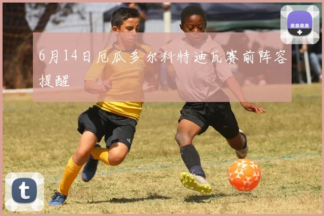 6月14日厄瓜多尔科特迪瓦赛前阵容提醒