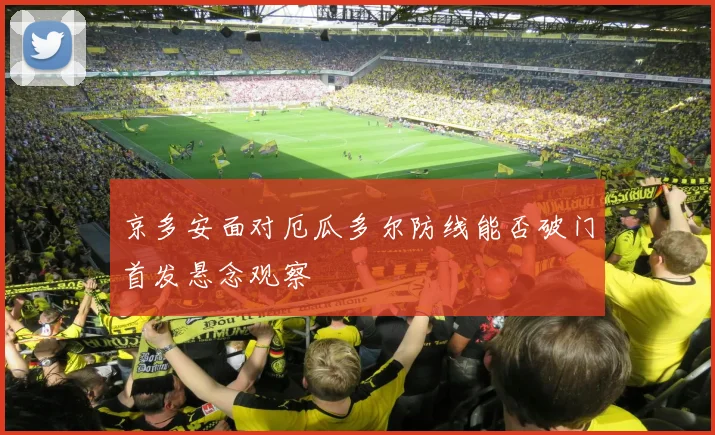 京多安面对厄瓜多尔防线能否破门首发悬念观察
