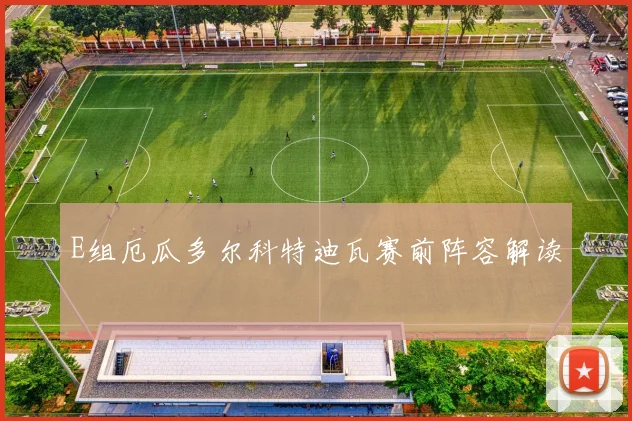 E组厄瓜多尔科特迪瓦赛前阵容解读