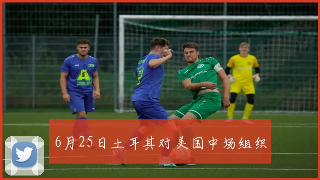 6月25日土耳其对美国中场组织